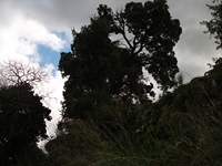 cantara gurne23122011 092